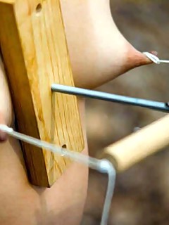 photo gallery id 230