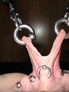 photo gallery id 242