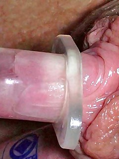 photo gallery id 224