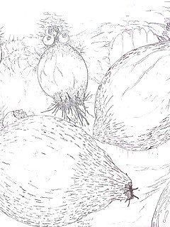 photo gallery id 13958