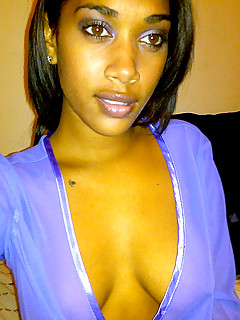 photo gallery id 13600