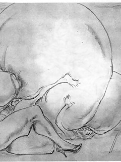 photo gallery id 13917