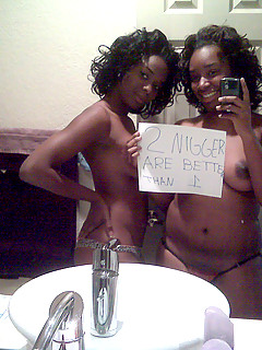 photo gallery id 13616