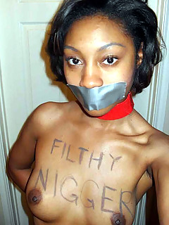 photo gallery id 13458