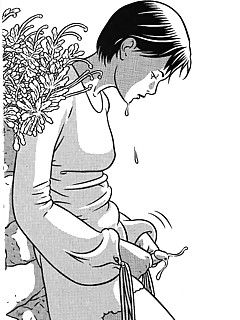 photo gallery id 16733