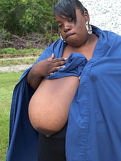 photo gallery id 18096