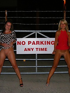 photo gallery id 18764