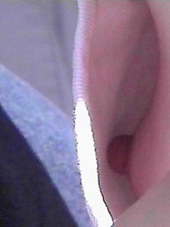 photo gallery id 20431