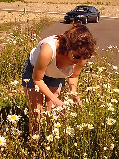 photo gallery id 20422