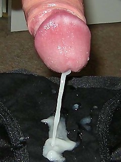 photo gallery id 21354