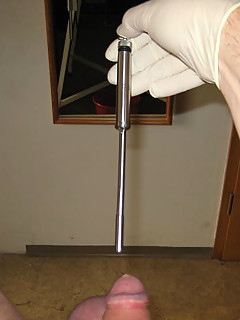 photo gallery id 2282