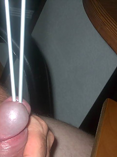 photo gallery id 2241