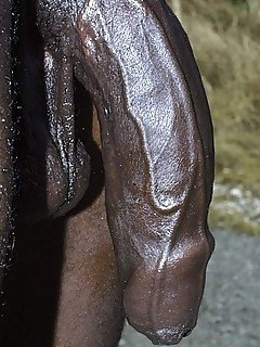 photo gallery id 22208