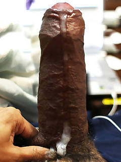 photo gallery id 22195