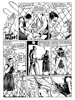 photo gallery id 22558