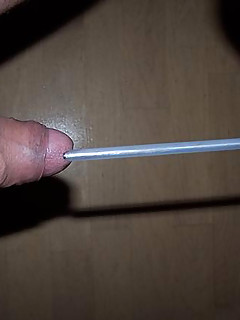 photo gallery id 2244