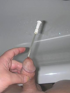 photo gallery id 2291