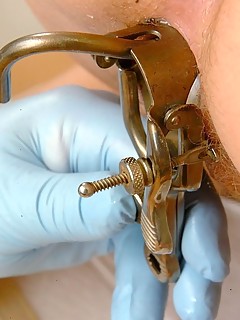 photo gallery id 24414