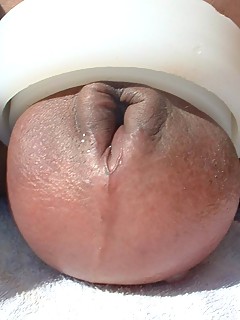 photo gallery id 24589