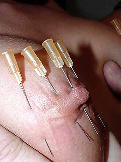 photo gallery id 231