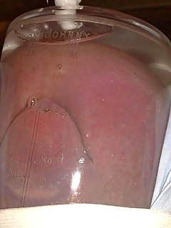 photo gallery id 24665