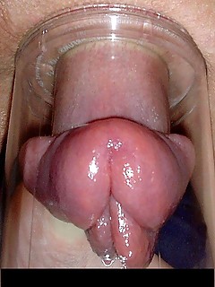 photo gallery id 24510