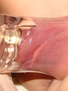 photo gallery id 24627