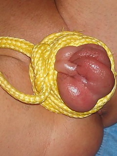 photo gallery id 24468