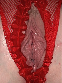 photo gallery id 24825