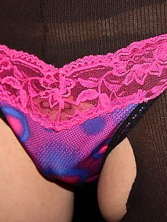 photo gallery id 24561