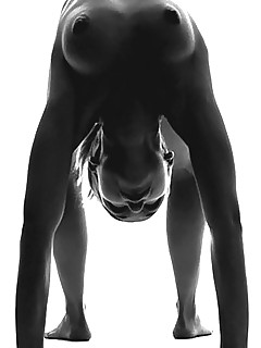 photo gallery id 27233