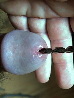 photo gallery id 2255