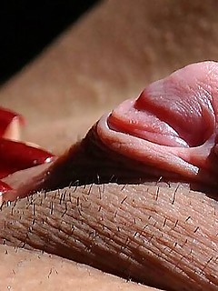 photo gallery id 4042