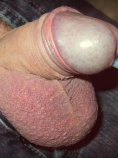 photo gallery id 2305