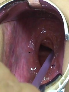 photo gallery id 3569