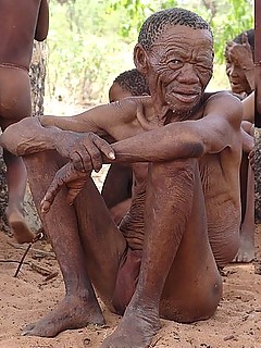 photo gallery id 4147