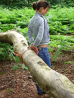 photo gallery id 2187