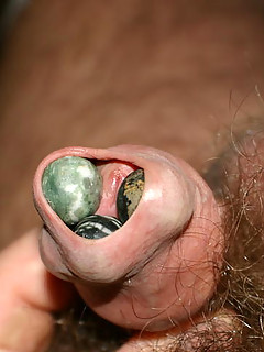 photo gallery id 2254