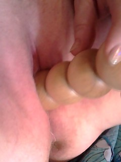 photo gallery id 395