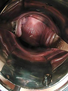 photo gallery id 3966