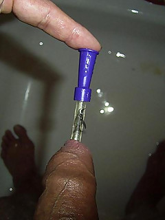 photo gallery id 2283