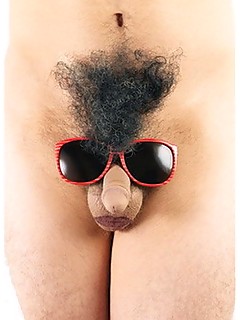 photo gallery id 3938