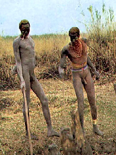 photo gallery id 4140