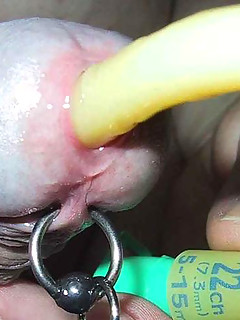 photo gallery id 2306