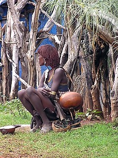 photo gallery id 4195