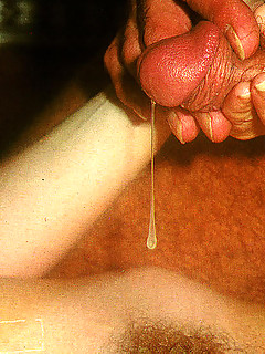 photo gallery id 4515