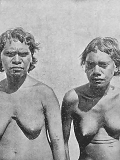 photo gallery id 4184