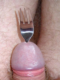 photo gallery id 2251