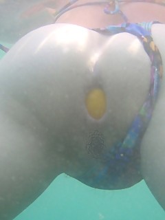 photo gallery id 3573