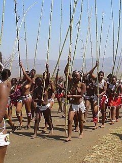 photo gallery id 4183